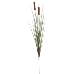 Trees & Topiaries-Kirkland's Home Potted Brown Cats Tails Grass, 48 In.