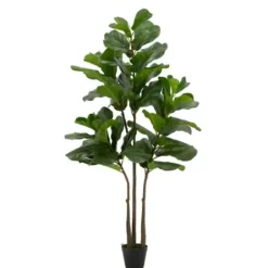 Trees & Topiaries-Kirkland's Home Potted English Banjo Fig Tree