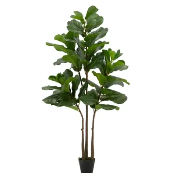 Trees & Topiaries-Kirkland's Home Potted English Banjo Fig Tree