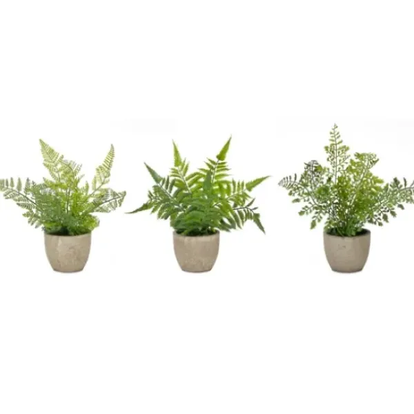 Arrangements & Greenery-Kirkland's Home Potted Fern Arrangements, Set Of 3 Green/Gray