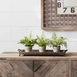 Arrangements & Greenery-Kirkland's Home Potted Fern Arrangements, Set Of 3 Green/Gray