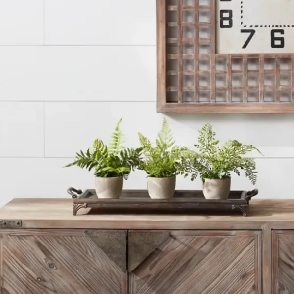 Arrangements & Greenery-Kirkland's Home Potted Fern Arrangements, Set Of 3 Green/Gray