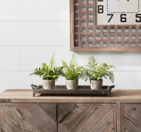 Arrangements & Greenery-Kirkland's Home Potted Fern Arrangements, Set Of 3 Green/Gray