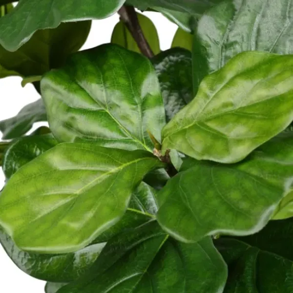 Trees & Topiaries-Kirkland's Home Potted Fiddle Leaf Fig Tree, 8 Ft.