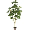 Trees & Topiaries-Kirkland's Home Potted Fig Fruit Tree, 4 Ft.