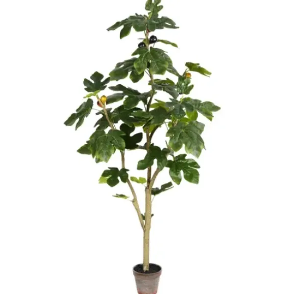 Trees & Topiaries-Kirkland's Home Potted Fig Fruit Tree, 4 Ft.