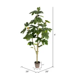 Trees & Topiaries-Kirkland's Home Potted Fig Fruit Tree, 4 Ft.