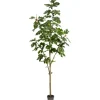 Trees & Topiaries-Kirkland's Home Potted Fig Tree, 7 Ft.