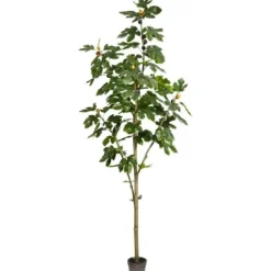 Trees & Topiaries-Kirkland's Home Potted Fig Tree, 7 Ft.