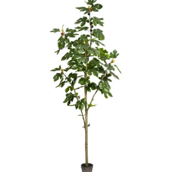 Trees & Topiaries-Kirkland's Home Potted Fig Tree, 7 Ft.
