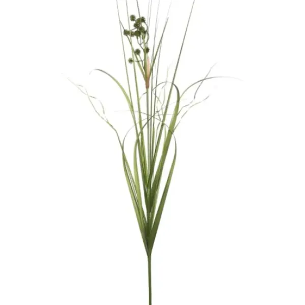 Arrangements & Greenery-Kirkland's Home Potted Grass With Pomp Balls Green