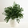 Arrangements & Greenery-Kirkland's Home Potted Greenery Mix Arrangement, 15 In. Green/White