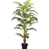 Arrangements & Greenery-Kirkland's Home Potted Large Leaf Fern Palm Plant, 59 In. Green