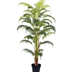 Arrangements & Greenery-Kirkland's Home Potted Large Leaf Fern Palm Plant, 59 In. Green