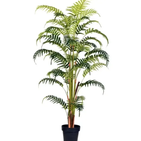Arrangements & Greenery-Kirkland's Home Potted Large Leaf Fern Palm Plant, 59 In. Green