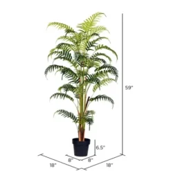 Arrangements & Greenery-Kirkland's Home Potted Large Leaf Fern Palm Plant, 59 In. Green