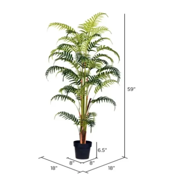 Arrangements & Greenery-Kirkland's Home Potted Large Leaf Fern Palm Plant, 59 In. Green