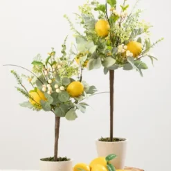 Trees & Topiaries-Kirkland's Home Potted Lemon And Berry Herb Trees, Set Of 2