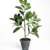 Trees & Topiaries-Kirkland's Home Potted Magnolia Tree