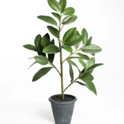 Trees & Topiaries-Kirkland's Home Potted Magnolia Tree