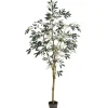 Trees & Topiaries-Kirkland's Home Potted Olive Branch Tree, 6 Ft.