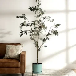 Trees & Topiaries-Kirkland's Home Potted Olive Branch Tree, 6 Ft.