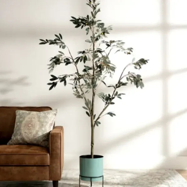 Trees & Topiaries-Kirkland's Home Potted Olive Branch Tree, 6 Ft.