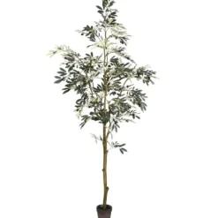 Trees & Topiaries-Kirkland's Home Potted Olive Tree, 7 Ft.