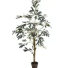 Trees & Topiaries-Kirkland's Home Potted Olive Tree, 4 Ft.