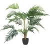 Arrangements & Greenery-Kirkland's Home Potted Small Leaf Fern Palm Plant, 35 In. Green