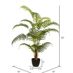 Arrangements & Greenery-Kirkland's Home Potted Small Leaf Fern Palm Plant, 35 In. Green