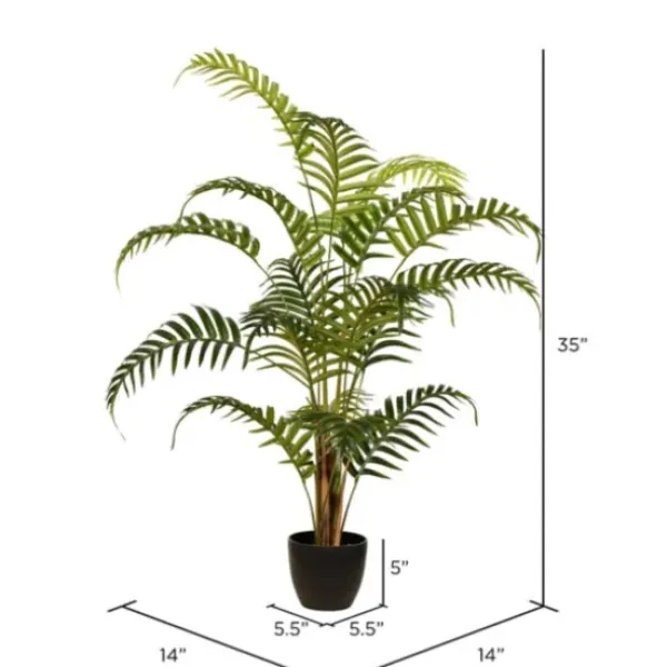 Arrangements & Greenery-Kirkland's Home Potted Small Leaf Fern Palm Plant, 35 In. Green