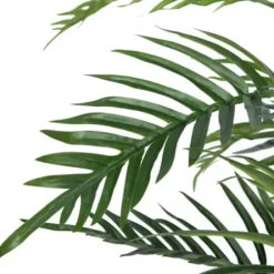 Arrangements & Greenery-Kirkland's Home Potted Small Leaf Fern Palm Plant, 35 In. Green