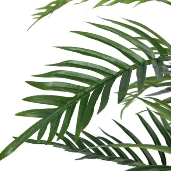 Arrangements & Greenery-Kirkland's Home Potted Small Leaf Fern Palm Plant, 35 In. Green