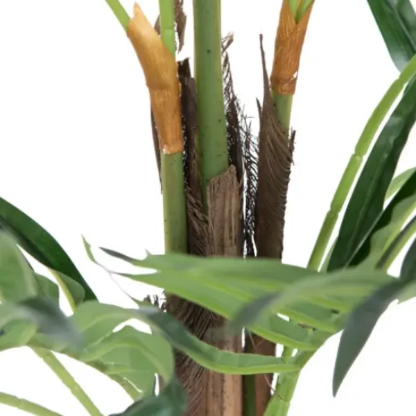 Arrangements & Greenery-Kirkland's Home Potted Small Leaf Fern Palm Plant, 35 In. Green