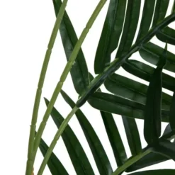 Arrangements & Greenery-Kirkland's Home Potted Small Leaf Fern Palm Plant, 35 In. Green