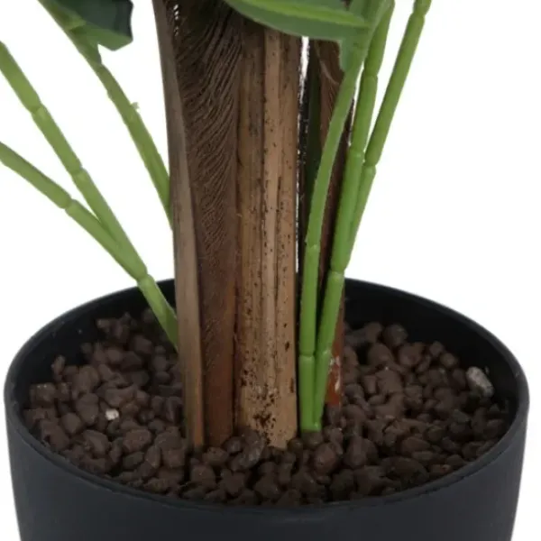 Arrangements & Greenery-Kirkland's Home Potted Small Leaf Fern Palm Plant, 35 In. Green