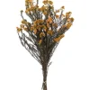 Stems & Bouquets-Kirkland's Home Preserved Aspen Rice Flower Bundle Gold