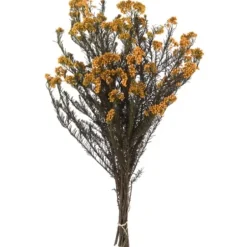 Stems & Bouquets-Kirkland's Home Preserved Aspen Rice Flower Bundle Gold