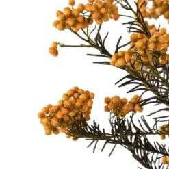 Stems & Bouquets-Kirkland's Home Preserved Aspen Rice Flower Bundle Gold