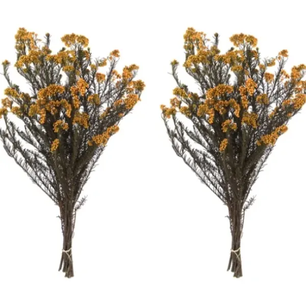 Stems & Bouquets-Kirkland's Home Preserved Aspen Rice Flower Bundle Gold