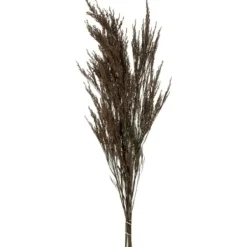 Stems & Bouquets-Kirkland's Home Preserved Green Reed Grass Bundle Brown