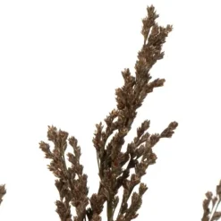 Stems & Bouquets-Kirkland's Home Preserved Green Reed Grass Bundle Brown