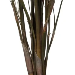 Stems & Bouquets-Kirkland's Home Preserved Green Reed Grass Bundle Brown