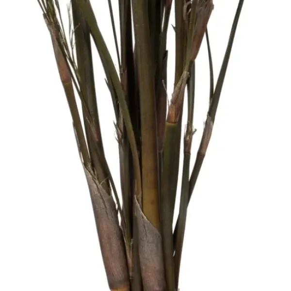 Stems & Bouquets-Kirkland's Home Preserved Green Reed Grass Bundle Brown
