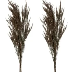 Stems & Bouquets-Kirkland's Home Preserved Green Reed Grass Bundle Brown