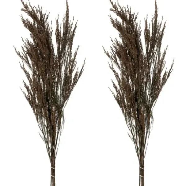 Stems & Bouquets-Kirkland's Home Preserved Green Reed Grass Bundle Brown
