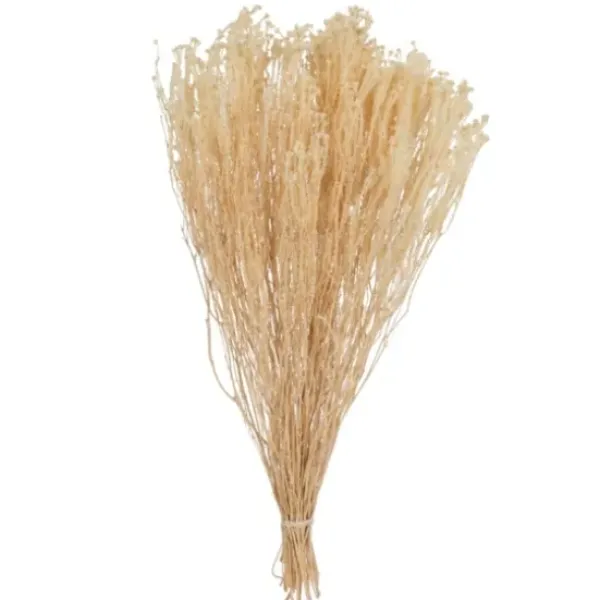 Stems & Bouquets-Kirkland's Home Preserved Natural Bleached Staavia Bush Tan
