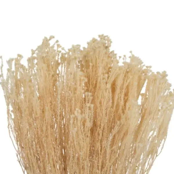 Stems & Bouquets-Kirkland's Home Preserved Natural Bleached Staavia Bush Tan