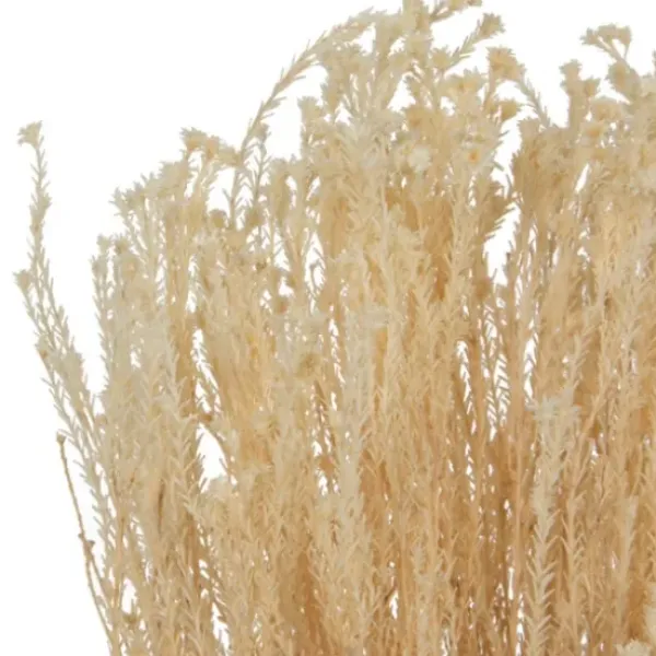 Stems & Bouquets-Kirkland's Home Preserved Natural Bleached Staavia Bush Tan